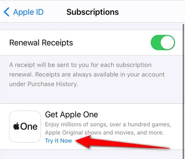 Co je služba Apple One?