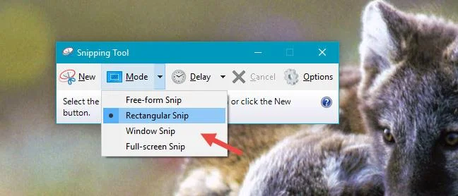 Как да използвате инструмента за изрязване на Windows 10 напълно
