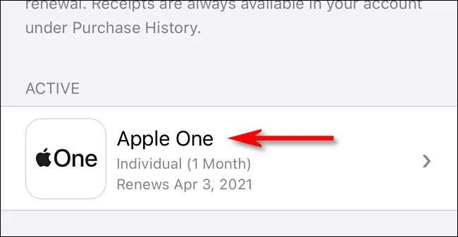 Co je služba Apple One?