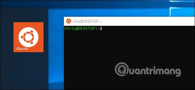 Allt du kan göra med Windows 10:s nya Bash Shell Allt du kan göra med Windows 10:s nya Bash Shell