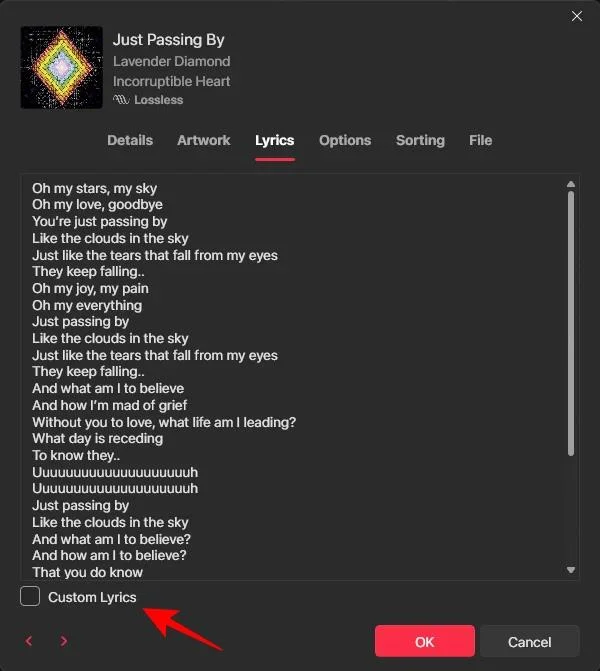 Hur man lägger till texter till Apple Music Windows Hur man lägger till texter till Apple Music Windows