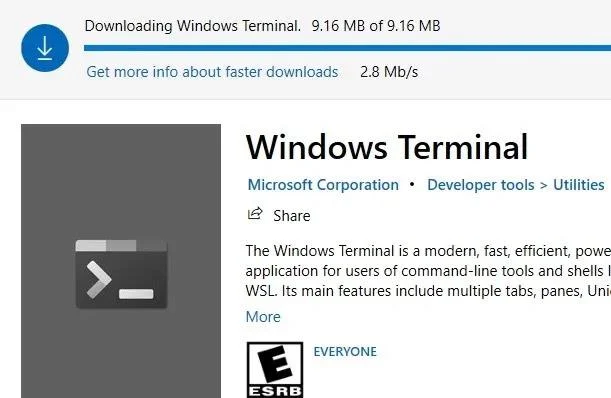 3 způsoby instalace Windows Terminal na Windows 10 3 způsoby instalace Windows Terminal na Windows 10